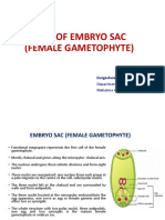 Types of Embryo Sac