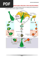 Dicot Embryo Development Stages | PDF | Embryo | Botany