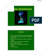 06 Sistema Respiratorio 2022