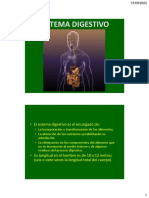 07 Sistema Digestivo (2022)