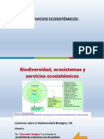 Servicios Ecosistemicos-Tema Vi