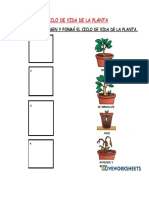 Ciclo de Vida de Las Plantas