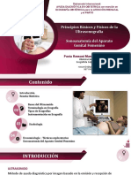 Módulo I - Principios Básicos y Físicos de La US - Sonoanatomía Del AGF