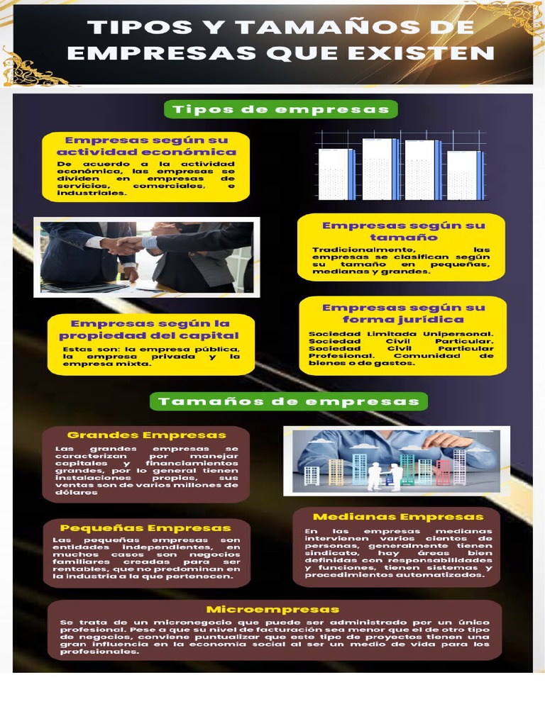 Infografía Sobre Tipos y Tamaños de Empresas Que Existen | PDF