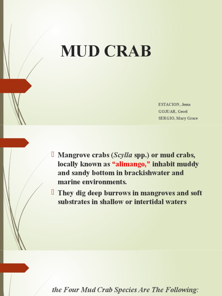 Mudcrab Pdf Crab
