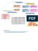 Espirometría: Parámetros restrictivos y obstructivos