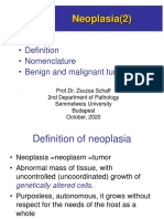Neoplasia Definition, Types, and Characteristics