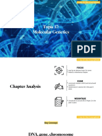 (BIO) Chapter 17 - Molecular Genetics