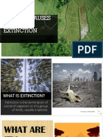 NATURAL CAUSES OF SPECIES EXTINCTION Powerpoint