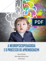 A Neuropsicopedagogia e o Processo de AP
