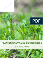 DS Plantes Comestibles Automne - CNS