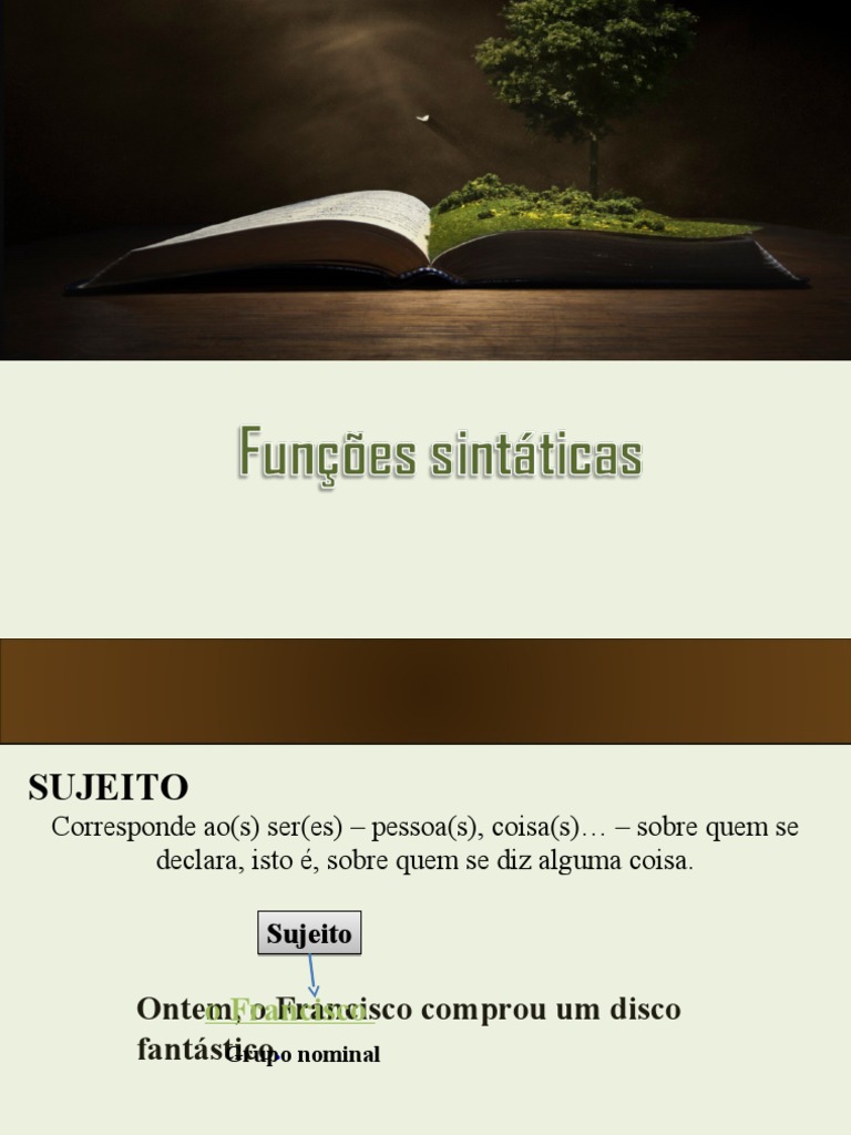 Funçoes Sintaticas Pdf