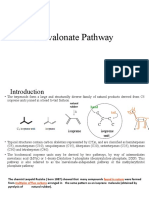 01.2 Mevalonate Pathway