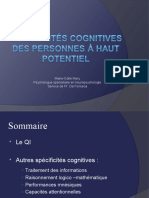 Specificites Cognitives Des Personnes A Haut Potentiel