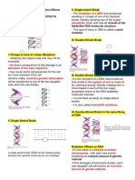 L1 Radbio Midterm Rad Effects