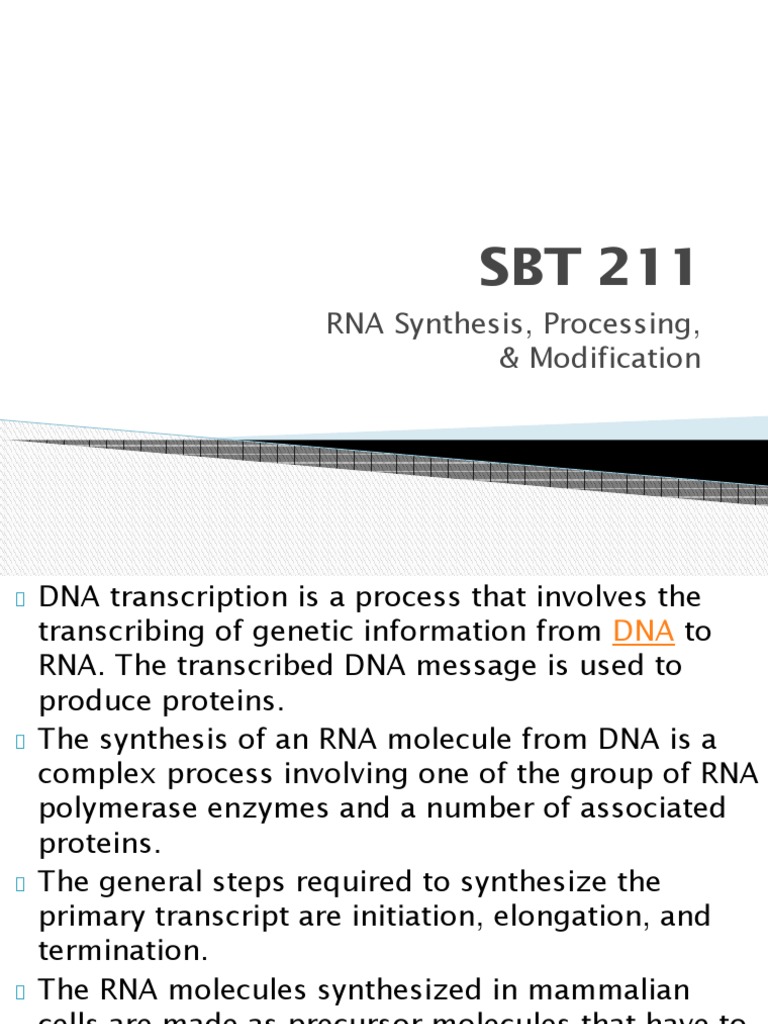 RNA Synthesis and Processing Overview | PDF | Rna | Rna Splicing