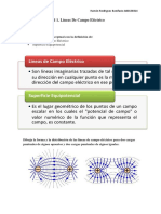 RodriguezBonifacio Ramon CampoElectrico