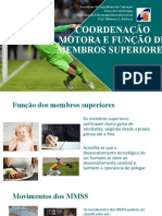 15 Coordenação e Função Dos Mmss