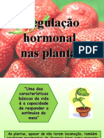 Ppt Hormonas Vegetais