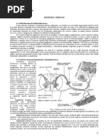 CURS Anatomia Omului