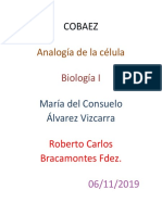 Analogia de La Célula