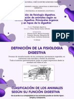 F. Digestiva-Trabajo Grupal
