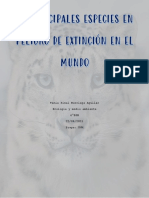 20 Principales Especies en Peligro de Extinción en El Mundo