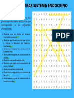 Sopa de Letras Sistema Endocrino