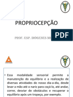 Propriocepção: entendendo os receptores sensoriais responsáveis pelo equilíbrio e posicionamento corporal