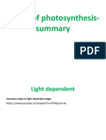 Stages of Photosynthesis Summary