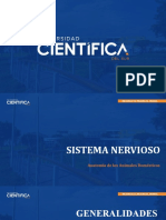 Sesión 17. Neurona y Encéfalo Superficie Externa