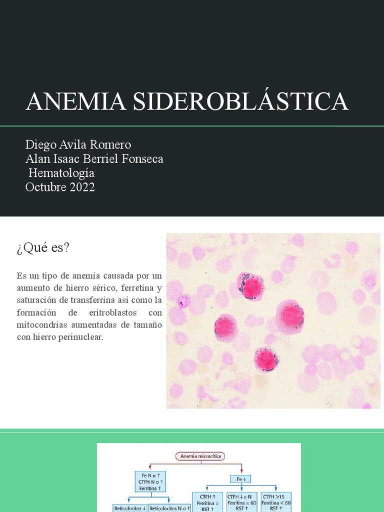 Anemia Sideroblástica Pdf Anemia Tejido Biología