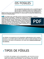 FOSILES