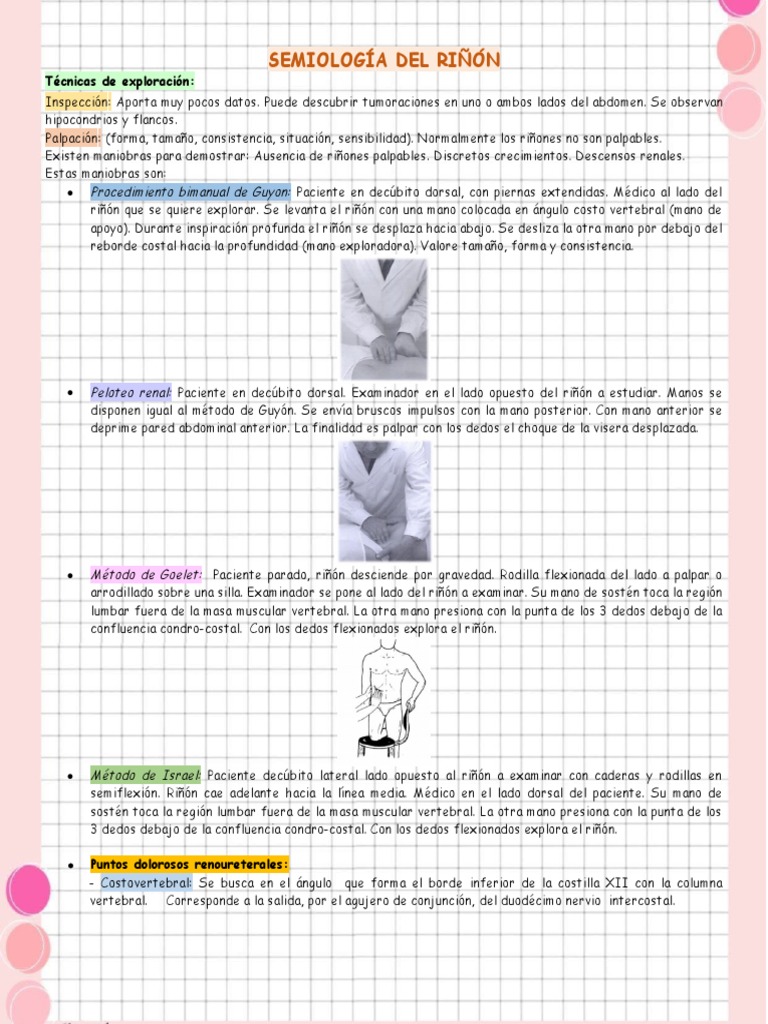 Maniobras de Exploración Renal | PDF | Abdomen | Riñón