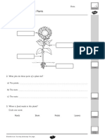 Year 3 Plantsassessment