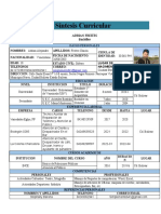 SINTESIS CURRICULAR Alejandro FC Actualizado