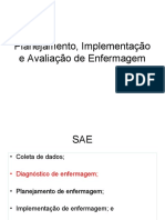 Arquivos sobre SAE CIPE para treinamento_Planejamento Implementação e Avaliação de Enfermagem