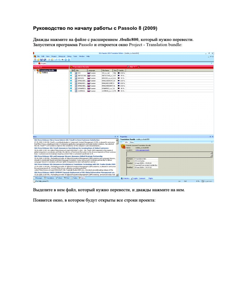 Руководство по началу работы с Passolo 8 | PDF | Foreign Language ...