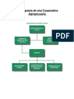 Organigrama de Una Cooperativa Agropecuaria