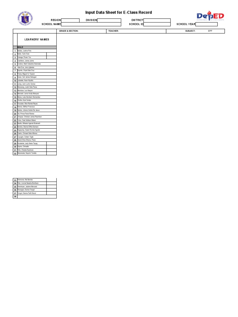 E-Class Record Input Data Sheet | PDF