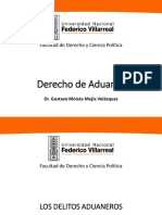 Delitos Aduaneros-1