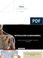 Articulacion Glenohumeral 294952 Downloable 1099195