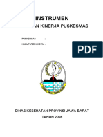 Hasil PKP Puskesmas Kab Kota 2009 (Dikirim Soft Copy Paling