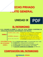 001-07 Tutoría Der. Priv. Pte. Gral. Ucasal. Dr. Mauricio Rey. Resumen UNIDAD IX