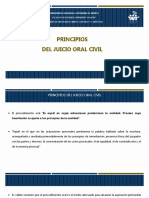 M2. Lectura 3 Principios Del Juicio Oral Civil