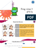 Frog Virus 3
