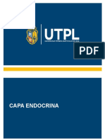 Capa Endocrina