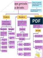 Las 3 Capas Germinales