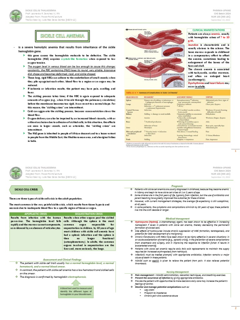Sickle Cell & Thalassemia | PDF | Anemia | Anatomy