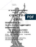 Proceso Judicial Coactivo